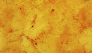 Желтый мрамор